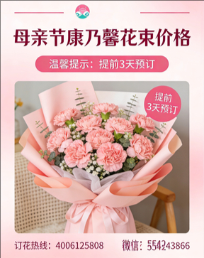 黄冈花店母亲节康乃馨花束
