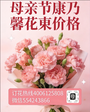 黄冈花店母亲节康乃馨花束